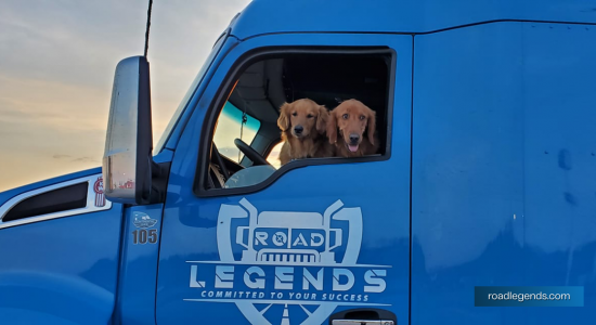 Trucking With Pets: Advantages And Tips For Trucking Together With Your Furry Friends