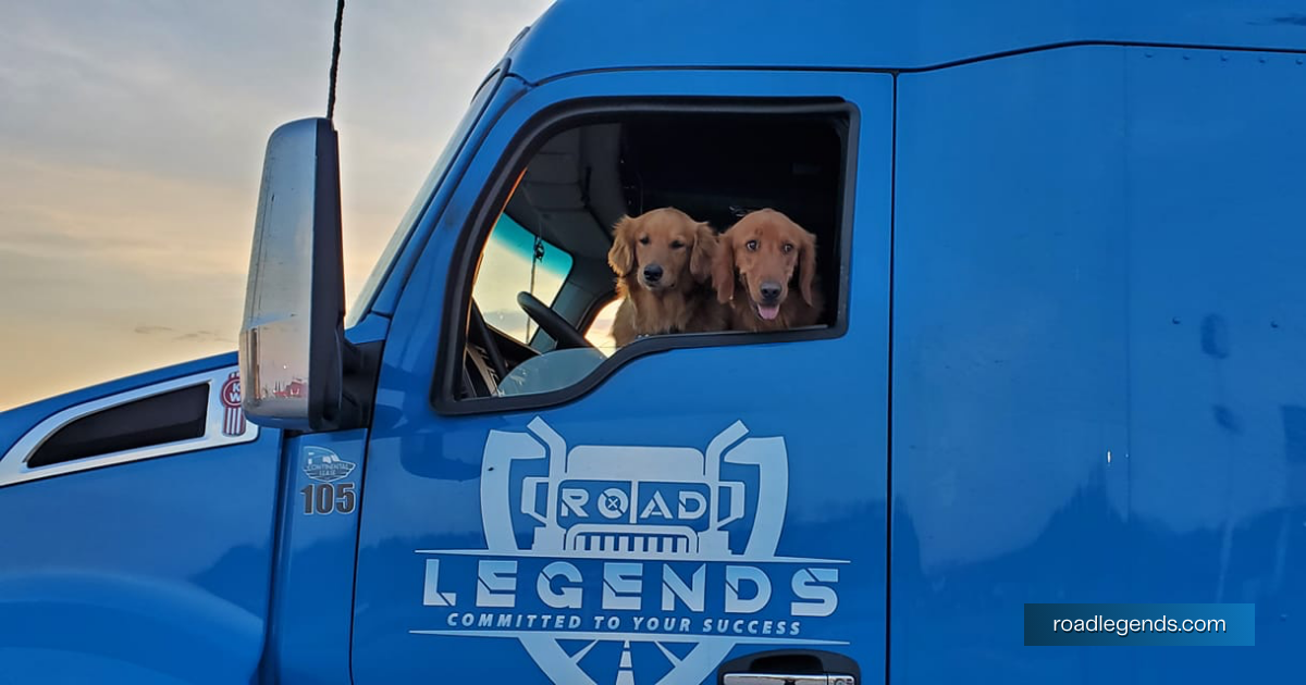 Trucking With Pets: Advantages And Tips For Trucking Together With Your Furry Friends