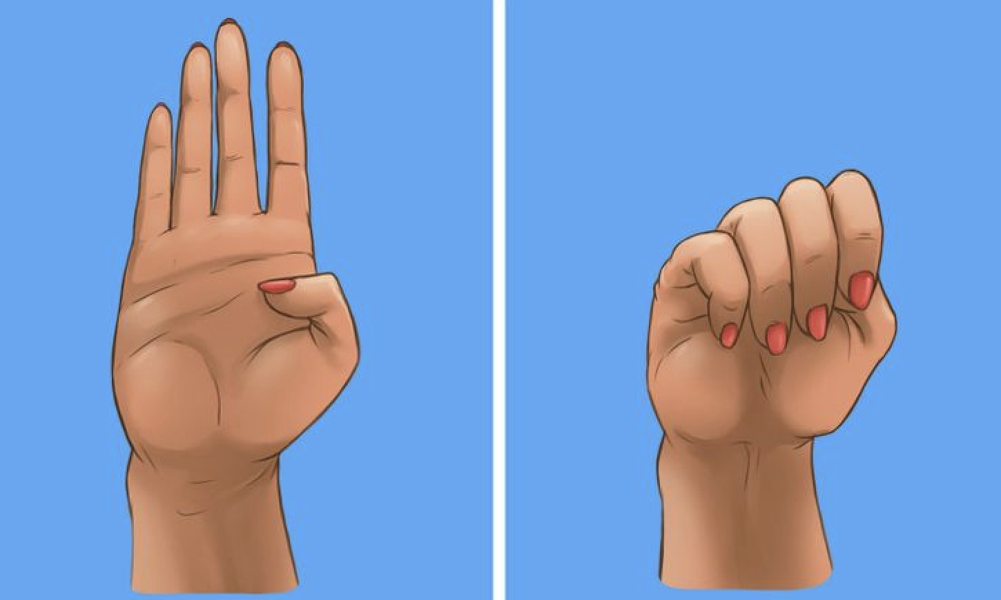 hand-signals-for-driving
